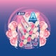 image 1 of Foam & Fresh Pink Peony