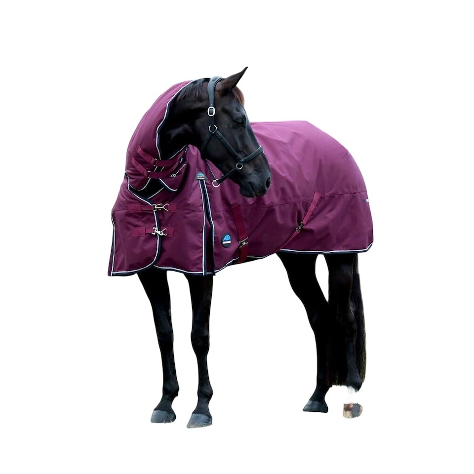 image 1 of Weatherbeeta Comfitec Essential Combo Neck 50g Horse Turnout Rug | Purple | Burgundy/Navy | 5Ft | 1