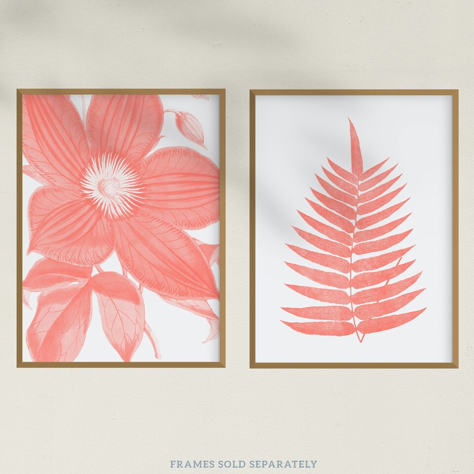image 1 of Set of 2 Flower Fern Frond Coral Pink Plant Botanical Living Room Wall Art Print A4