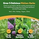 image 3 of Pronto Seed Grow Your Own Kitchen Herb Seed Kit - 5 Varieties - A Thoughtful Gift for Foodies | Multi | Herbs | 1