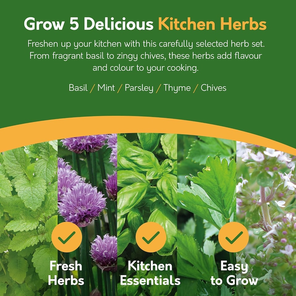 image 1 of Pronto Seed Grow Your Own Kitchen Herb Seed Kit - 5 Varieties - A Thoughtful Gift for Foodies | Multi | Herbs | 1