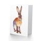 image 2 of Hare Woodland Rabbit Bright Animal Watercolour Art Card