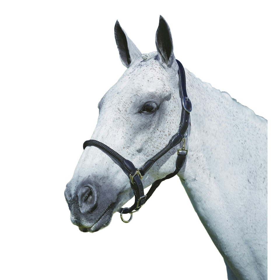 image 1 of Kincade Leather Rope Headcollar - Black - Cob