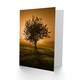 image 2 of Lone Tree Sunset Photo Greetings Card
