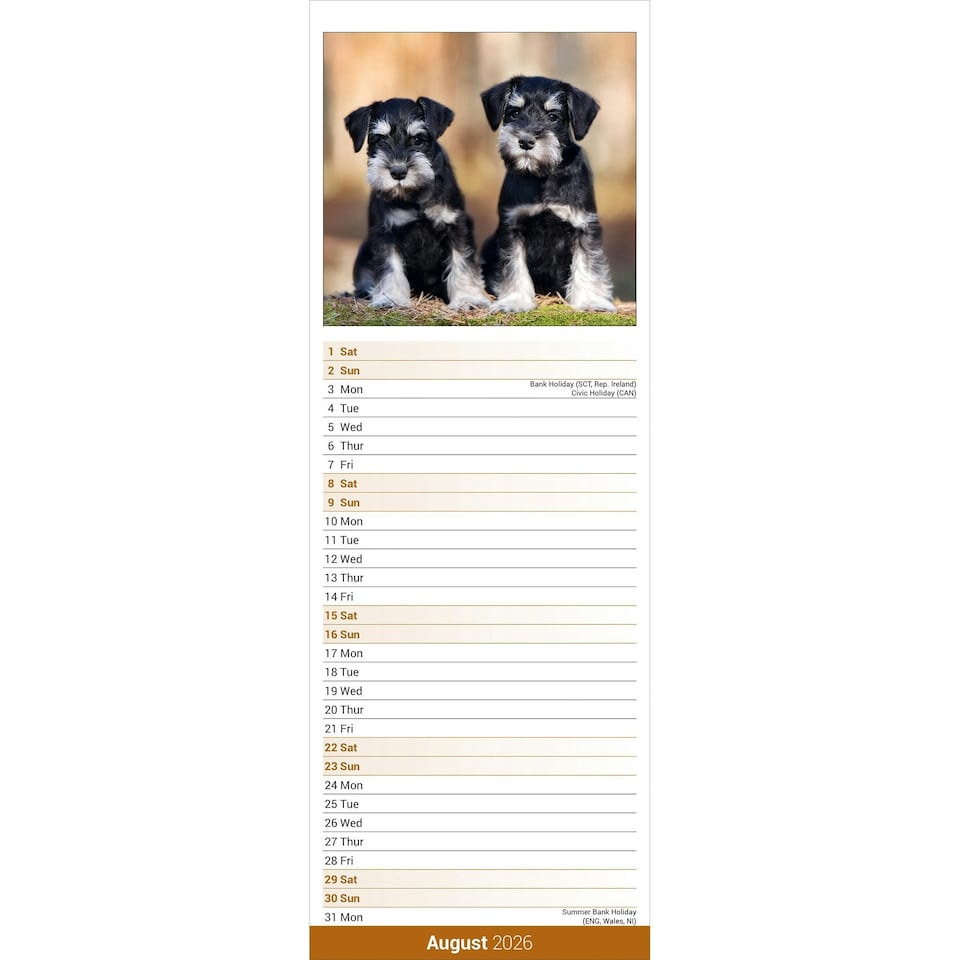 image 1 of Schnauzer Slim 2026 Calendar | Slimline Wall Calendar | Dog Breed Gift | Plastic Free Packaging | by Avonside Publishing [Calendar] Avonside Publishing Ltd