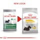 image 4 of ROYAL CANIN® Mini Dermacomfort Adult Dry Dog Food N/A | Size: 3kg