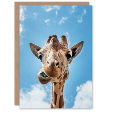 Carol M Highsmith Art Card Funny Up Close Look At A Giraffe