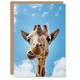 image 1 of Carol M Highsmith Art Card Funny Up Close Look At A Giraffe