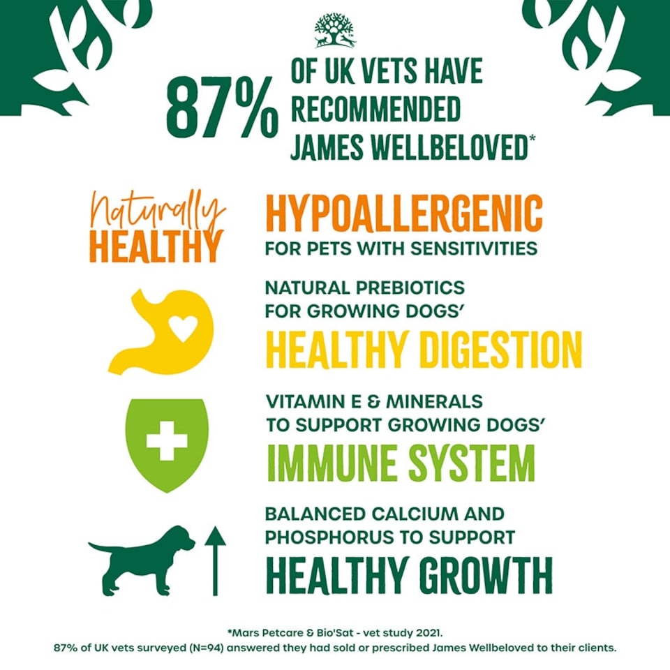 image 1 of James Wellbeloved Puppy Dog Food Lamb and Rice Kibble 2kg