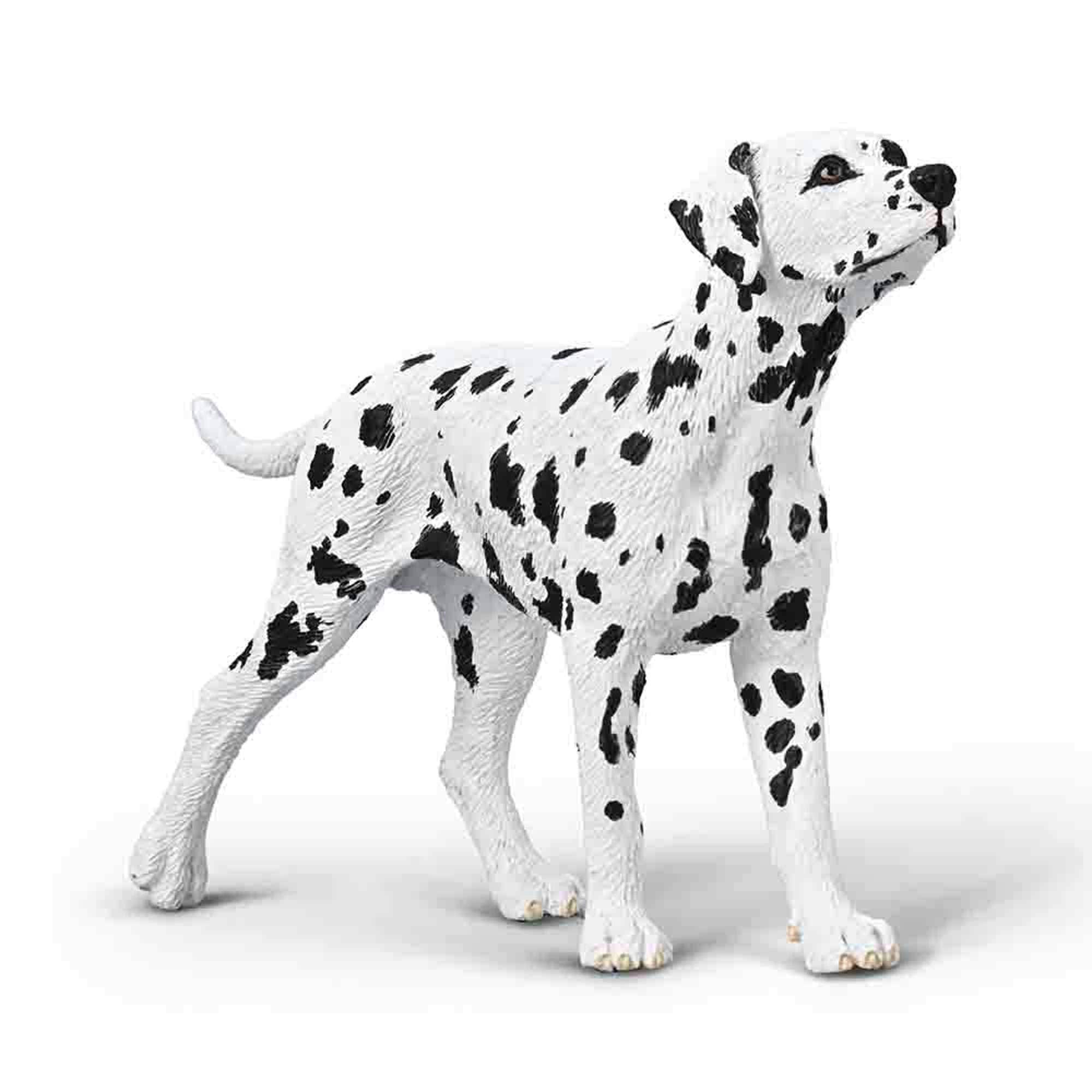 CollectA Dalmatian - Realistic & Hand Finished Dog Figure