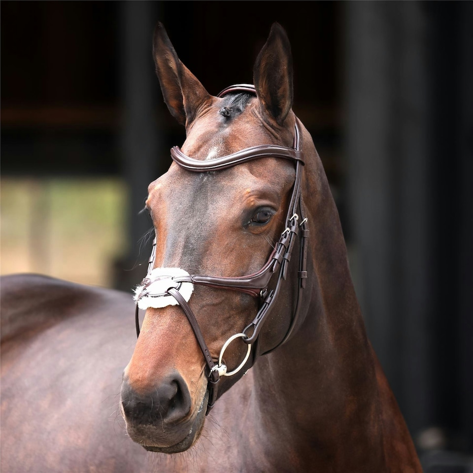 image 1 of Shires Velociti Lusso Elite Grackle Bridle Black | Size: X-Full
Colour: Black