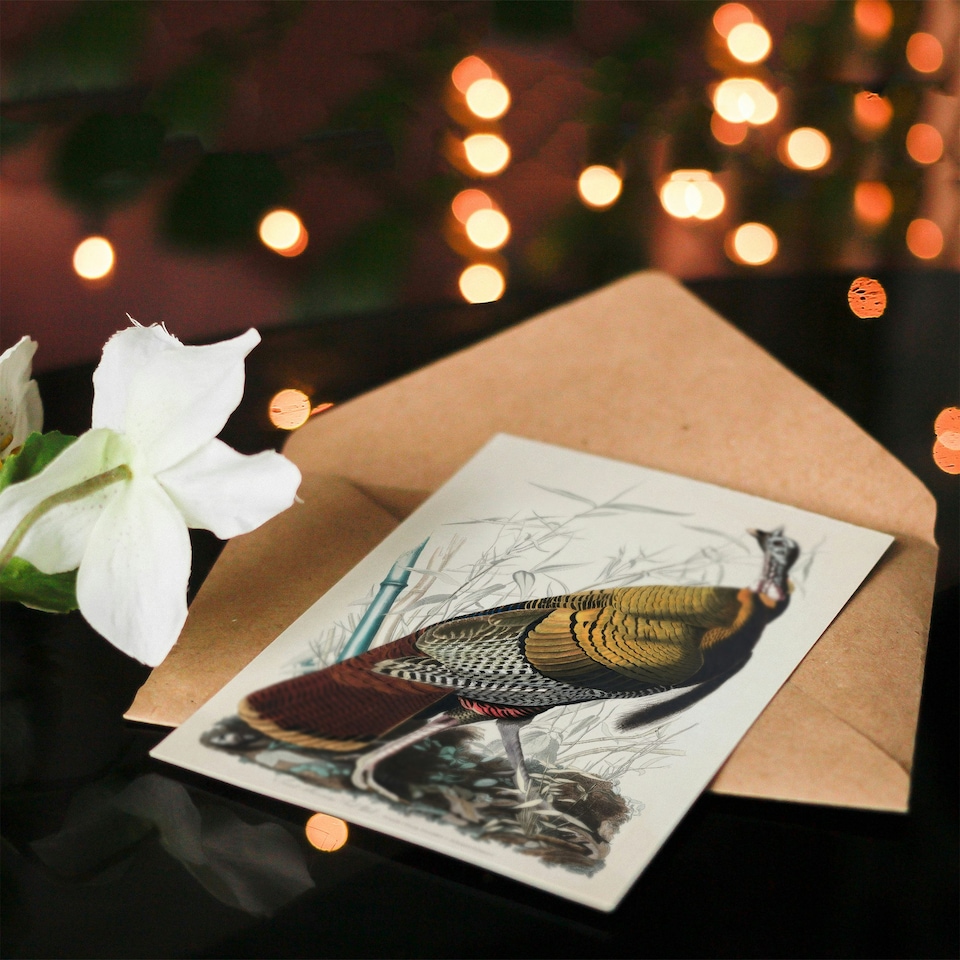image 1 of John James Audubon Art Card Birds of America Wild Turkey