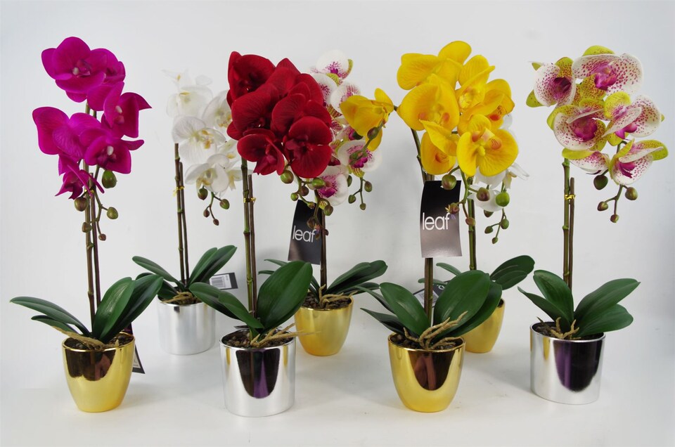 image 1 of Orchid Artificial Pink Gold Pot 48cm Harlequin