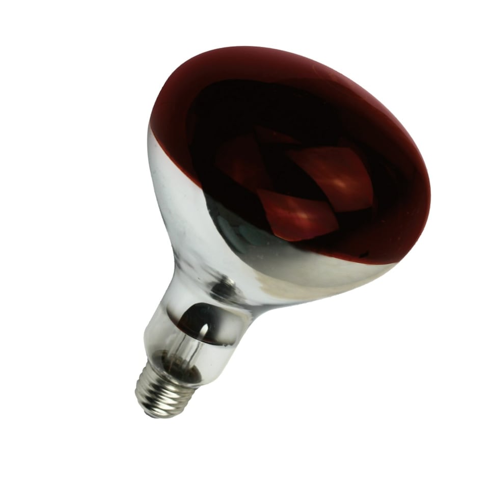 image 1 of Eveready Infra-Red Heater Lamp Bulb E27 300lm 250W 2000K - Pack of 1