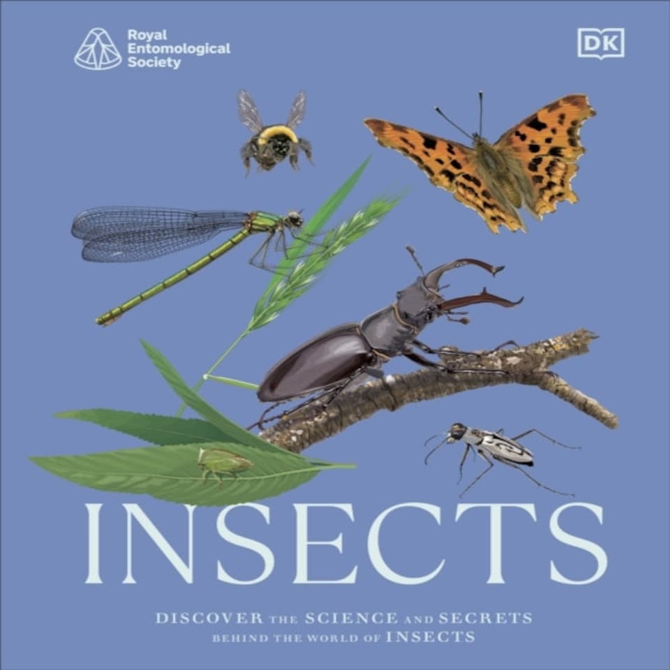 Res Insects