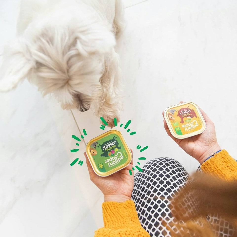 image 1 of Edgard & Cooper Lamb and Beef Wet Food with Carrot and Apple for Adult Dogs