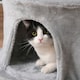 image 9 of PawHut Multi-level Cat Tree Tower with Condo Scratching Post, 150cm, Grey
