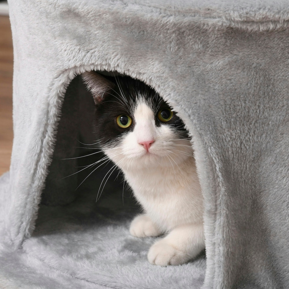 image 1 of PawHut Multi-level Cat Tree Tower with Condo Scratching Post, 150cm, Grey