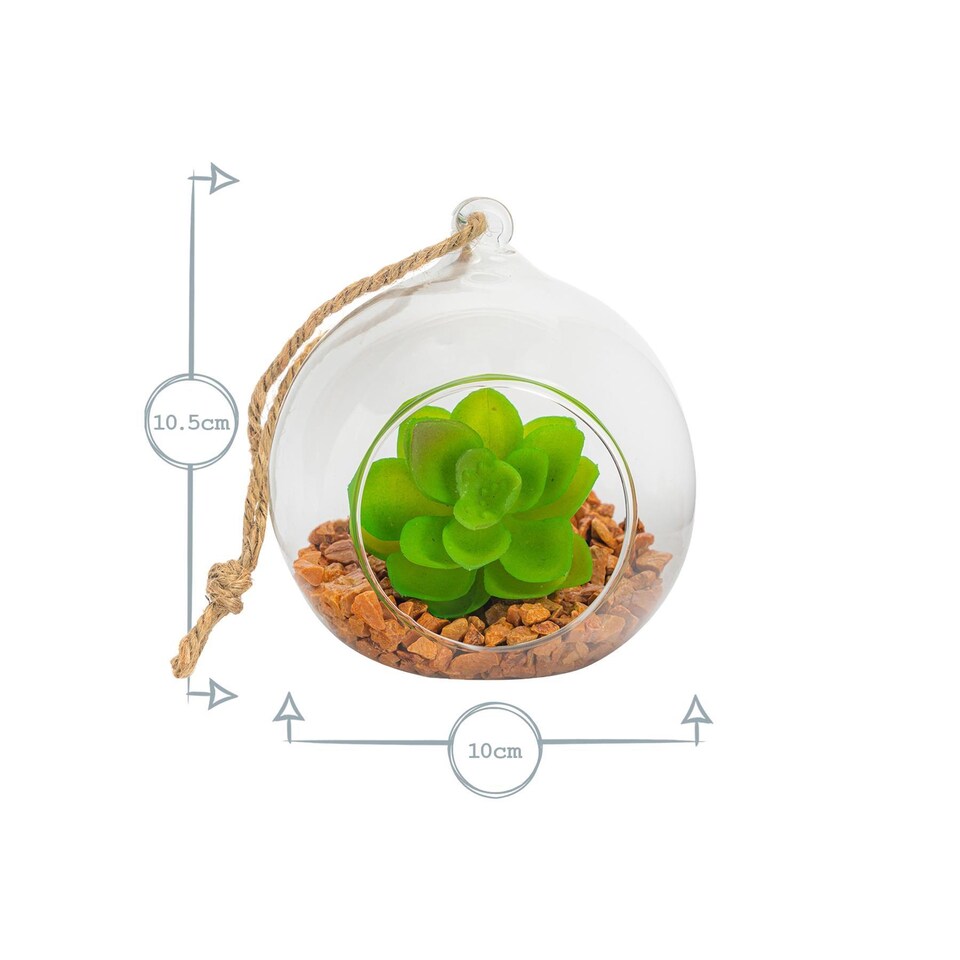 image 1 of Nicola Spring Hanging Glass Terrariums - 3 Sizes - Clear