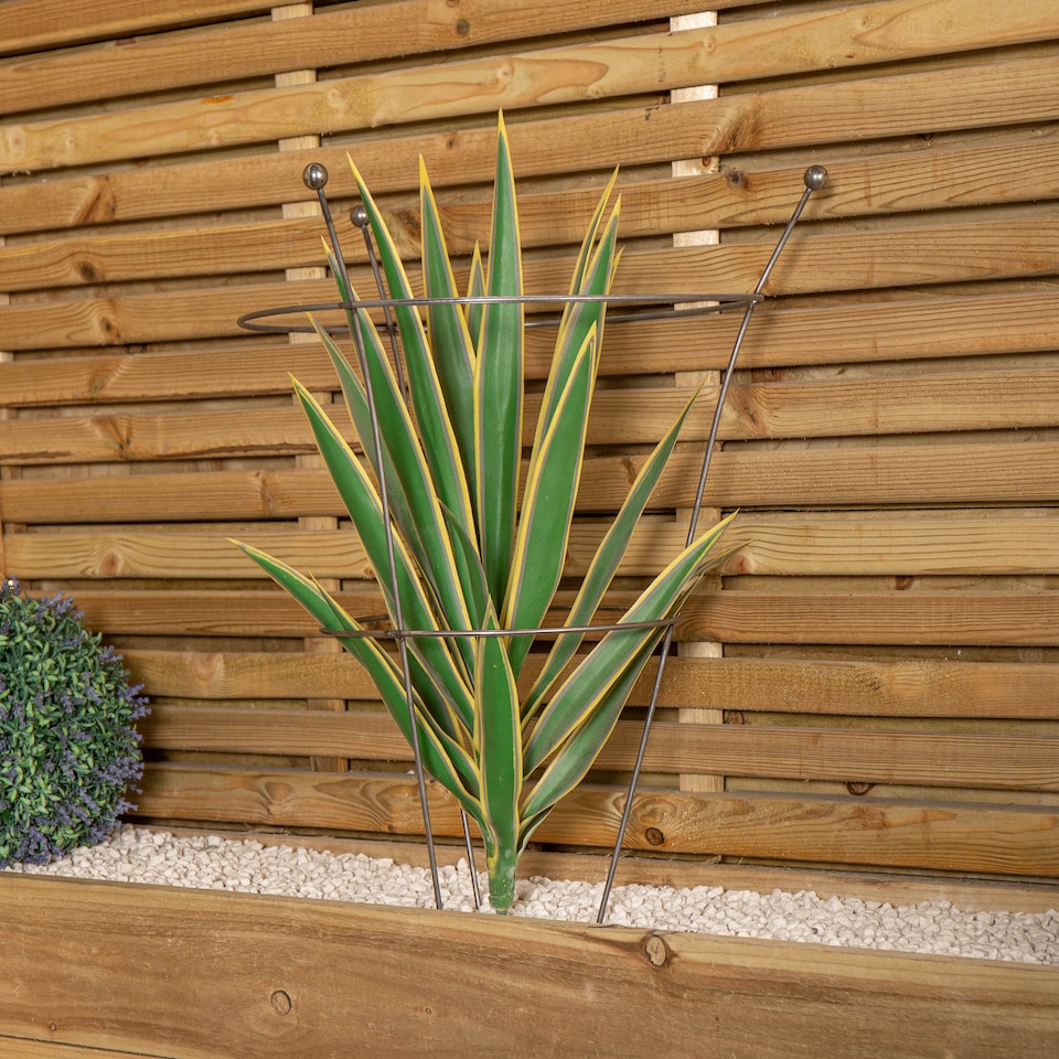 image 1 of Pack of 2 Tom Chambers Herbaceous Bare Rusted Steel Garden Plant Support Medium 54cm x 40cm