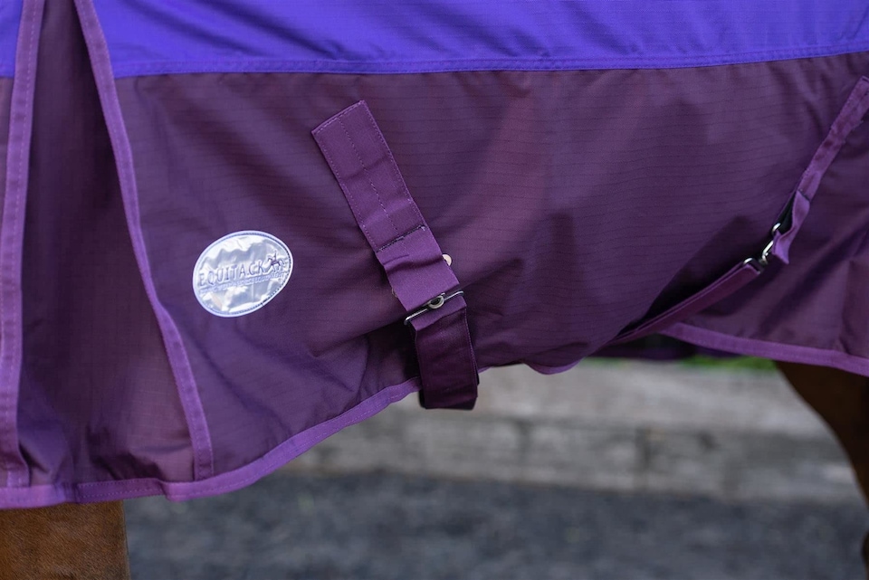 image 1 of eQuitack 600D Waterproof Horse Turnout Rug 100g Fill Standard Neck Purple/Plum 6'6''