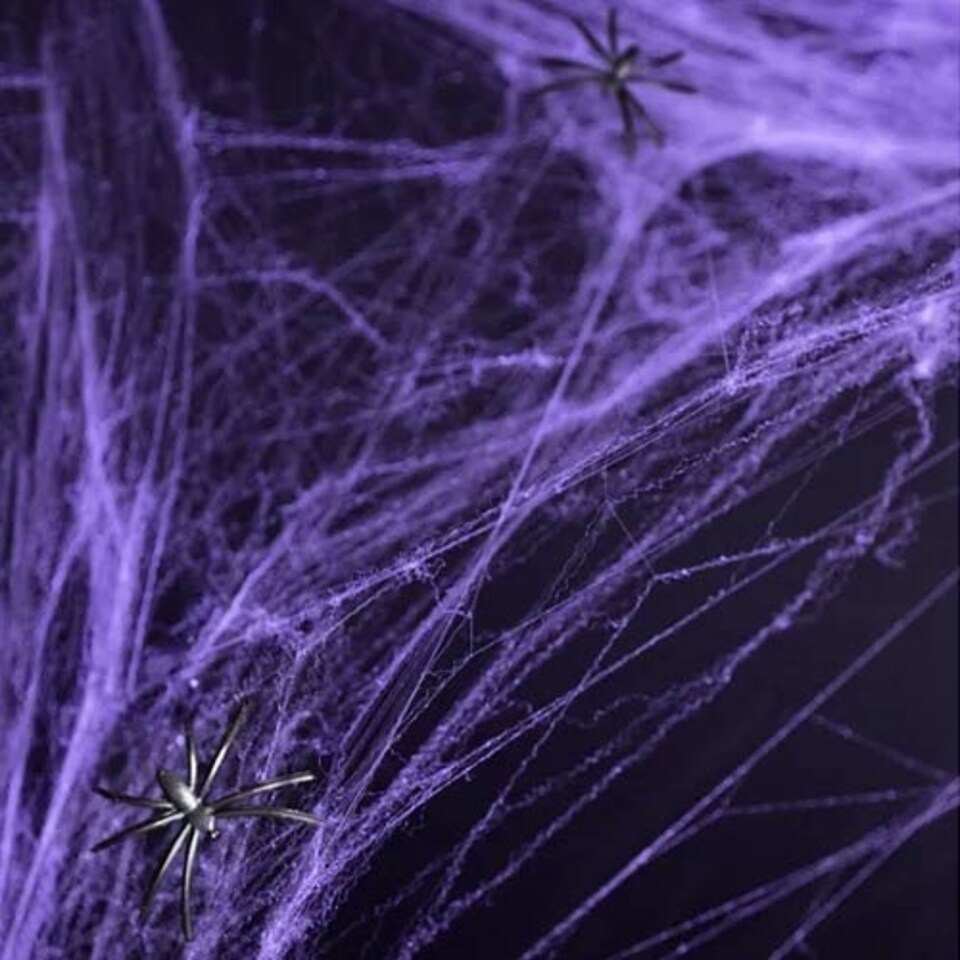 Halloween Violet Spiderweb 60 Grams
