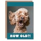 image 1 of Birthday Card Surprised Cockapoo Dog Photo How Old Funny Joke Cheeky