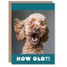 Birthday Cards