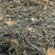 image 3 of ProRep Bio Life Forest Substrate 25 Litre | Multi