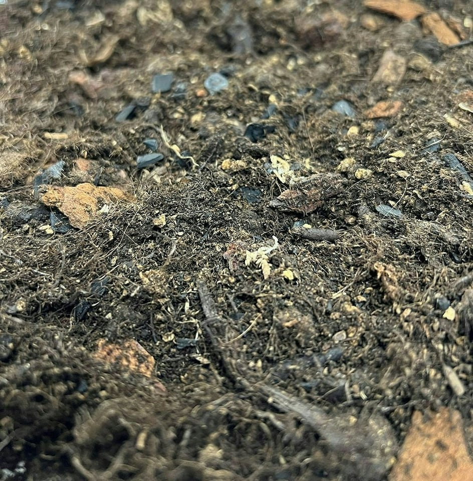 image 1 of ProRep Bio Life Forest Substrate 25 Litre | Multi