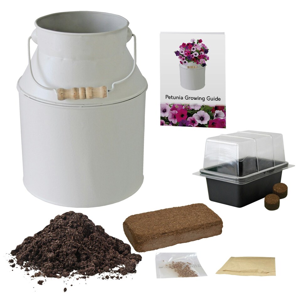 image 1 of Pronto Seed Petunia Grow Your Own Kit with Decorative Milk Churn Planter - Colourama Mix - Garden Gift for Beginners