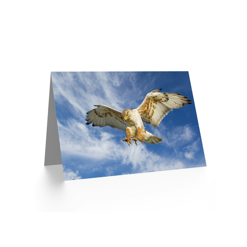 image 1 of Majestic Eagle Bird Hunting Dive Scene Animal Lover Birthday Card