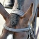 image 5 of Collegiate Comfitec Opulux Padded Leather Sch Horse Bridle | Brown | Dark Brown | Pony | 1
