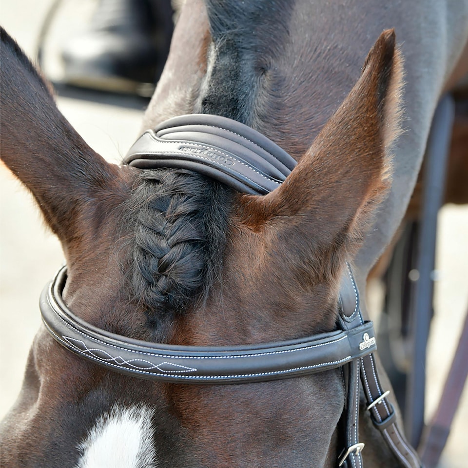 image 1 of Collegiate Comfitec Opulux Padded Leather Sch Horse Bridle | Brown | Dark Brown | Pony | 1