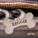 image 2 of History & Heraldry Pre-Personalised Squeaky Bone Dog Toy - Reggie