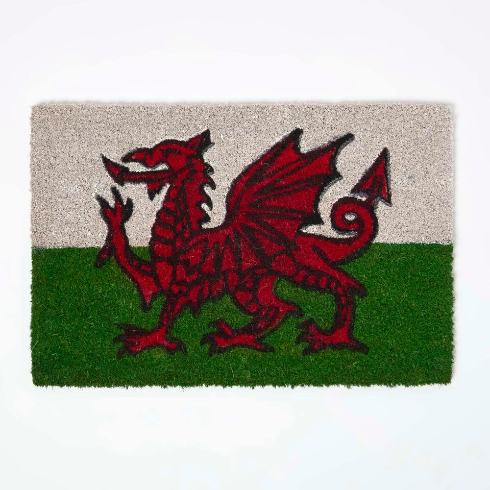 image 1 of Homescapes Coir Doormat Welsh Dragon Flag - 40 x 60 cm