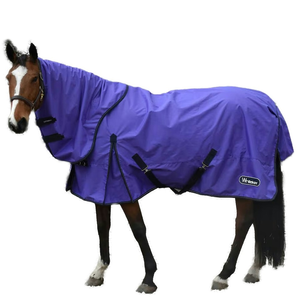 Whitaker Standard-Neck Contrast Horse Turnout Rug - Purple - 5´ 6"