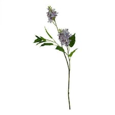 The Natural Garden Collection Lilac (Single Stem Flower) - Plastic - L30 x W30 x H75 cm - Purple