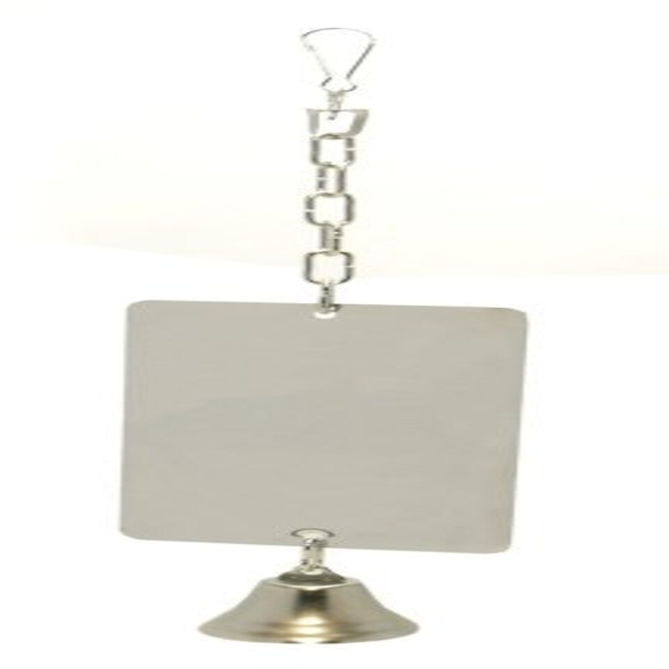 Rosewood Parrot Mirror W/bell Giant