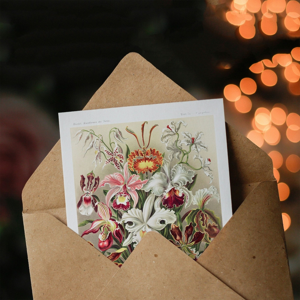 image 1 of Ernst Haeckel Art Card Orchid Flower Colourful Varieties