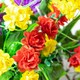 image 4 of Primrose Artificial Wildflower Flowers Hanging Basket Purple Yellow Orange 25cm