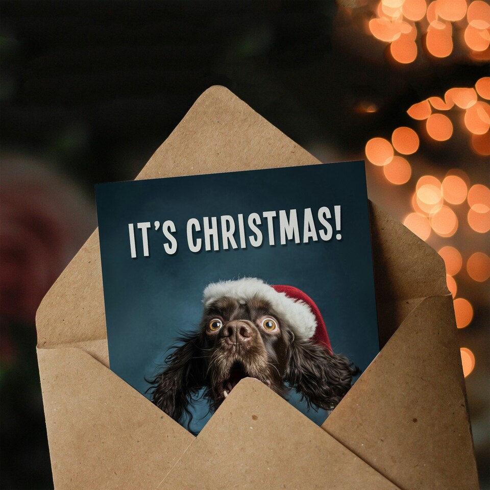 image 1 of Christmas Card Cocker Spaniel Photograph Dog in Santa Hat Funny