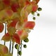 image 5 of 110cm Large Yellow Peach Orchid Plant - Artifcial - 41 REAL TOUCH flowers
