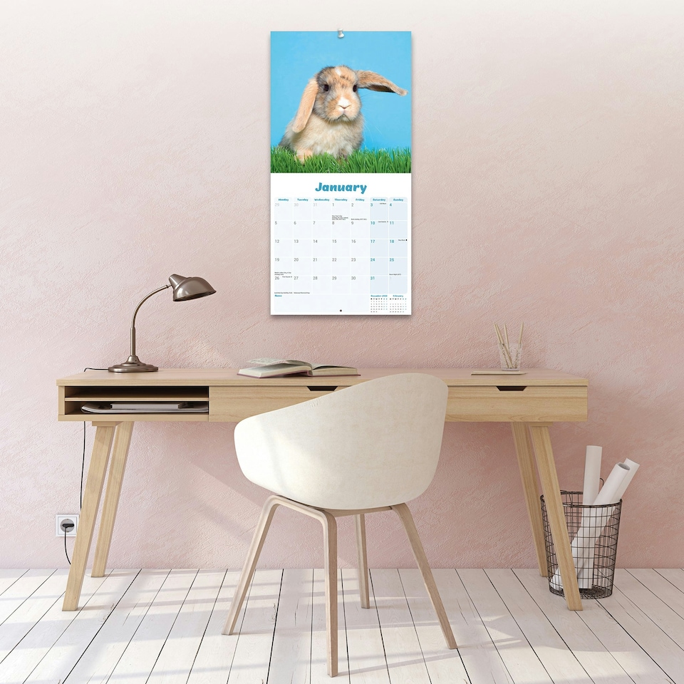 image 1 of Lop Eared Rabbits 2026 Calendar | Square Wall Calendar | Animal Gift | Plastic Free Packaging | by Avonside Publishing