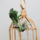 image 3 of Decorative Green Fantasy Bird With Clip - 15cm