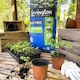image 6 of Levington Peat Free John Innes No.1 Compost, 10L