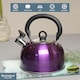 image 4 of Buckingham Camping Whistling Kettle Met Purple Colour Coated Stainless Steel with Heat Resistant Phenolic Handle 2.5 L