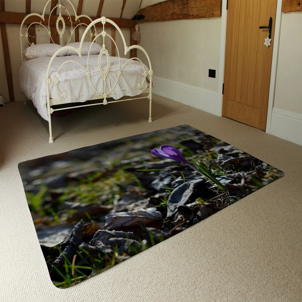 image 1 of Purple crocus flowers, Colchicum, in a green grass meadow. Close up spring or autumn flower bloom in nature (Rug) Multi | M