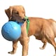 image 2 of Jolly Pets Tug-N-Toss Dog Retrieving Toy - Blueberry - 4.5in