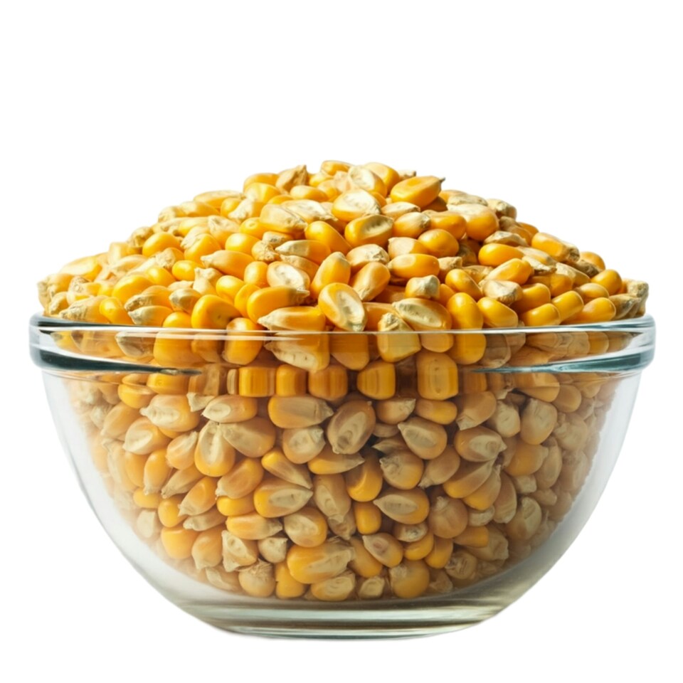 image 1 of Organic Popping Corn 500g (Sussex Wholefoods)
